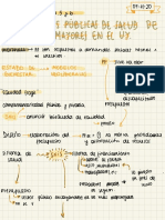 Las Políticas Públicas en Salud de Los Adultos Mayores en Uruguay, Articulación 4 PDF