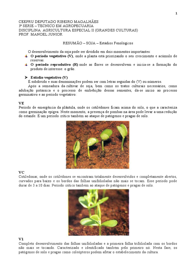 Estádios Fenológicos da Soja | PDF | Plantas | Soja