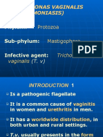 Trichomoniasis: Causes, Symptoms & Treatment