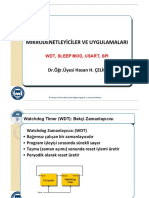 WDT Sleepmod Usart SPI PDF