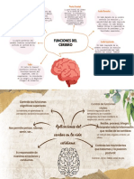 Mapas Conceptuales Del Cerebro para Conocer Sus Funciones y Aplicaciones en Su Vida.