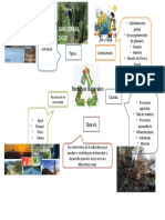 Recursos naturales: Inagotables vs agotables y sus consecuencias