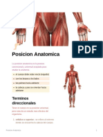 Posicion - Anatomica Apuntes