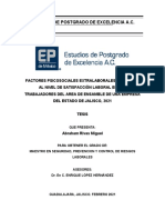 Protocolo de Tesis de Grado - Factores Psicosociales