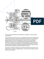 Sobre La Teoria Cuantica de La Consciencia de Hameroff y Penrose