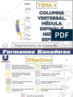 Tema 4 Columna Vertebral. Médula Espinal y Nervio Espinal