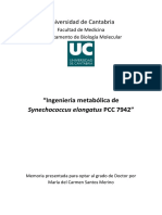 Tesis MCSM PDF