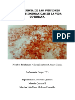 Importancia de Las Funciones Quimicas Inorganicas en La Vida Cotidiana PDF