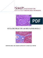 Guia de Practica Patologia 2021