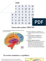 Cerebro Tri Uno