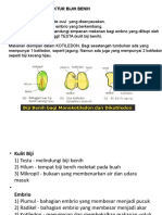 Struktur Biji Dan Percambahan