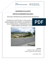Informe Patología Puente El Verveno MIG - UA (HC & LS) PDF