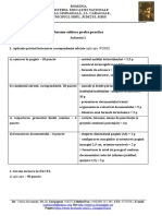 Barem-subiectul-2