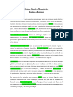 Examen de Anatomia PDF