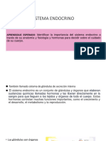 Sistema Endocrino 2023