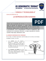 Ficha de Ciencia y Tecnología Del 6°.