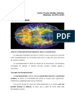 Neuro Plasticidad