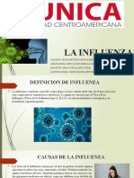 Exposicion Sobre La Influenza