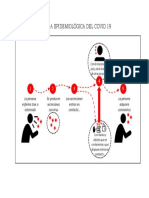 Cadena Epidemiológica Del Covid 19
