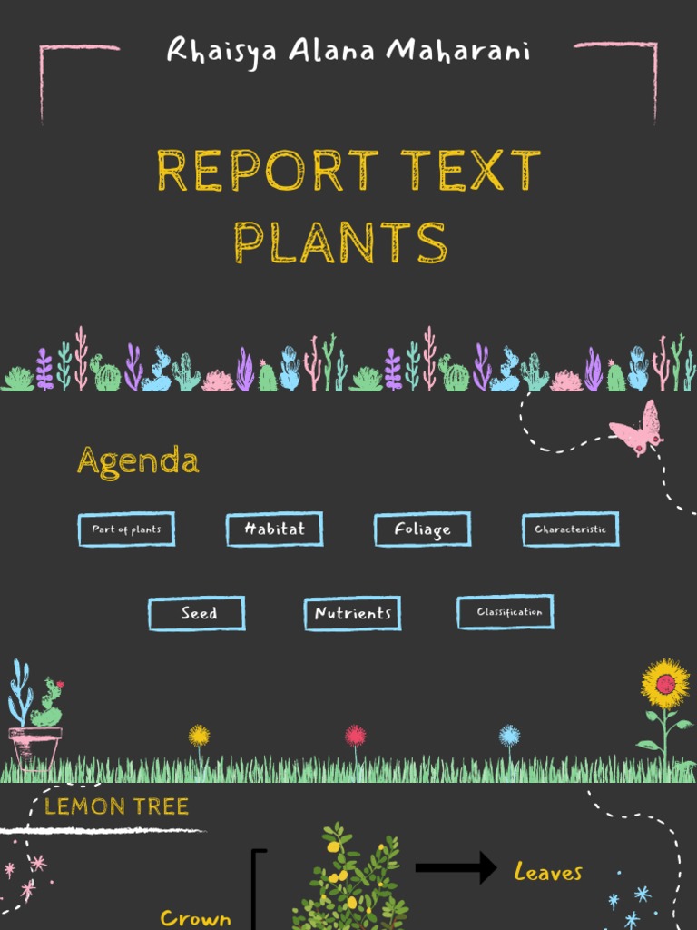 Report Text About Cat