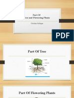 Task English: Part of Plant