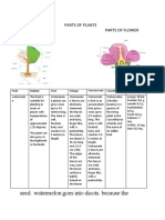 Parts of Tree & Flowers