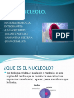 nucleolo.pptx