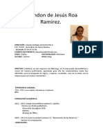 Copia de CV Actualizado