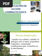 TUPA de la Dirección Regional de Salud Junín | PDF | Justicia