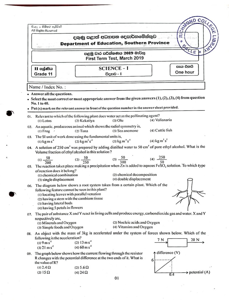 Southern Province Grade 11 First Term | PDF