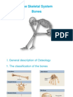 C-1 Bone PDF