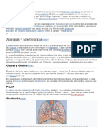 PDF Los Pulmones Humanos PDF