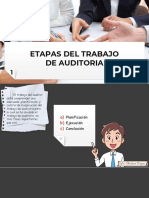 2 - Etapas Marcas y Trabajo de Auditoria