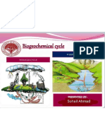 Biogeochemical Cycle PDF