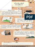 Infografía de Ciclo Del Carbono