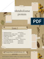 Metabolisme protein dalam tubuh