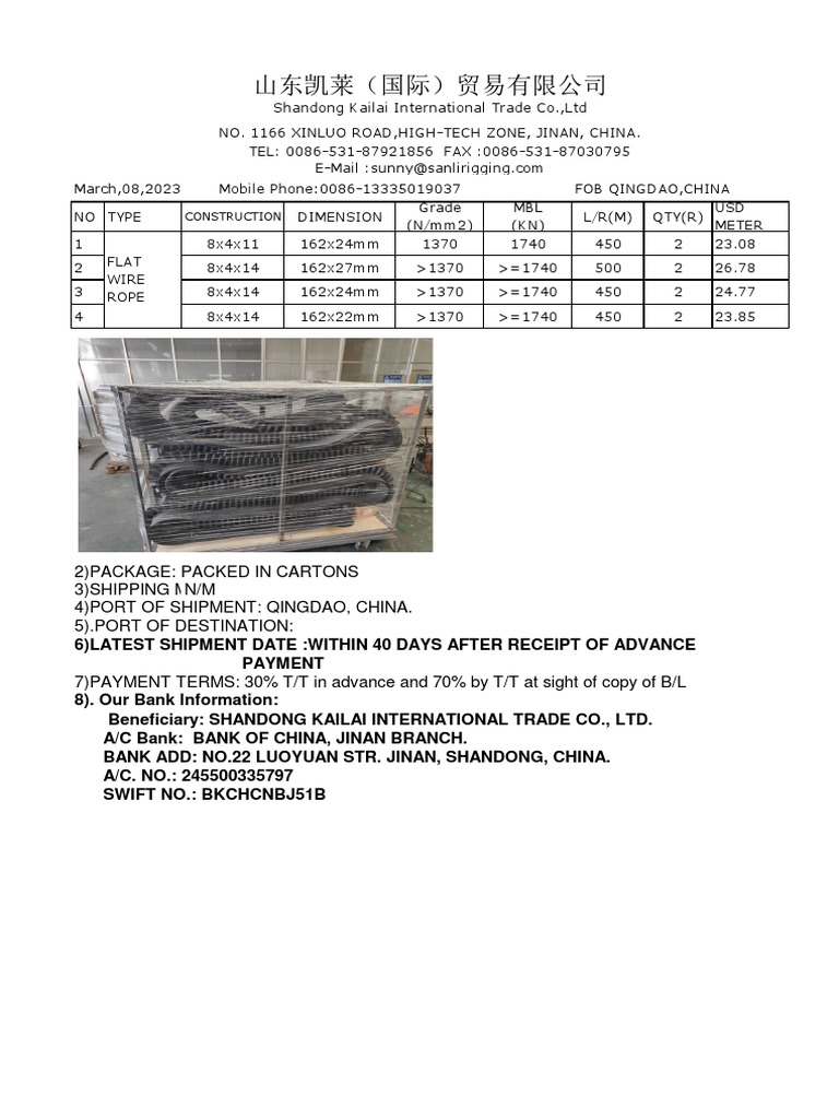 Flat Wire Rope 2303 | PDF