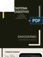 Sistema digestivo: Embriología del tubo gastrointestinal