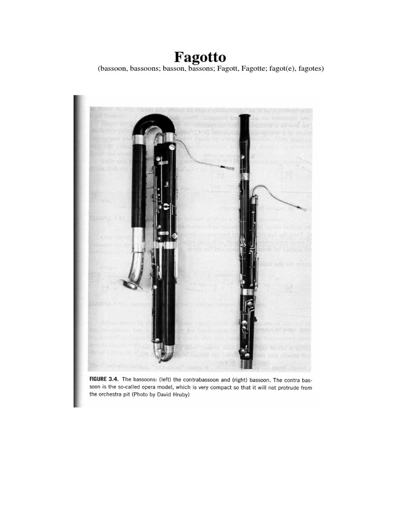 Fagotto | PDF