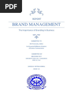 Report of Brand Management (MR)