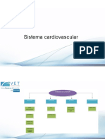 aparato cardiovascular.pdf