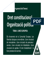 Tema 1 Dret Const Org Politica Ue