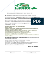 Declaração de Treinamento para Uso Do Epi