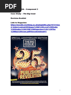 The Big Issue: 25th Anniversary Overview | PDF | Advertising
