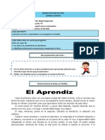 Ficha Anexa Plan Lec PDF