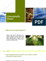 Chlorophyllic Plants