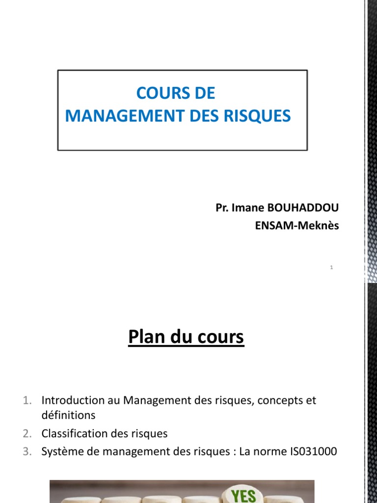 Cours de Management des Risques | PDF | Risque | Gestion des risques