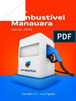 Combustível Manauara - Pesquisa Completa-Corrigida
