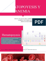 Hematopoyesis y Anemia