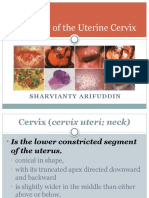 2.anatomy and Histology of The Cervix